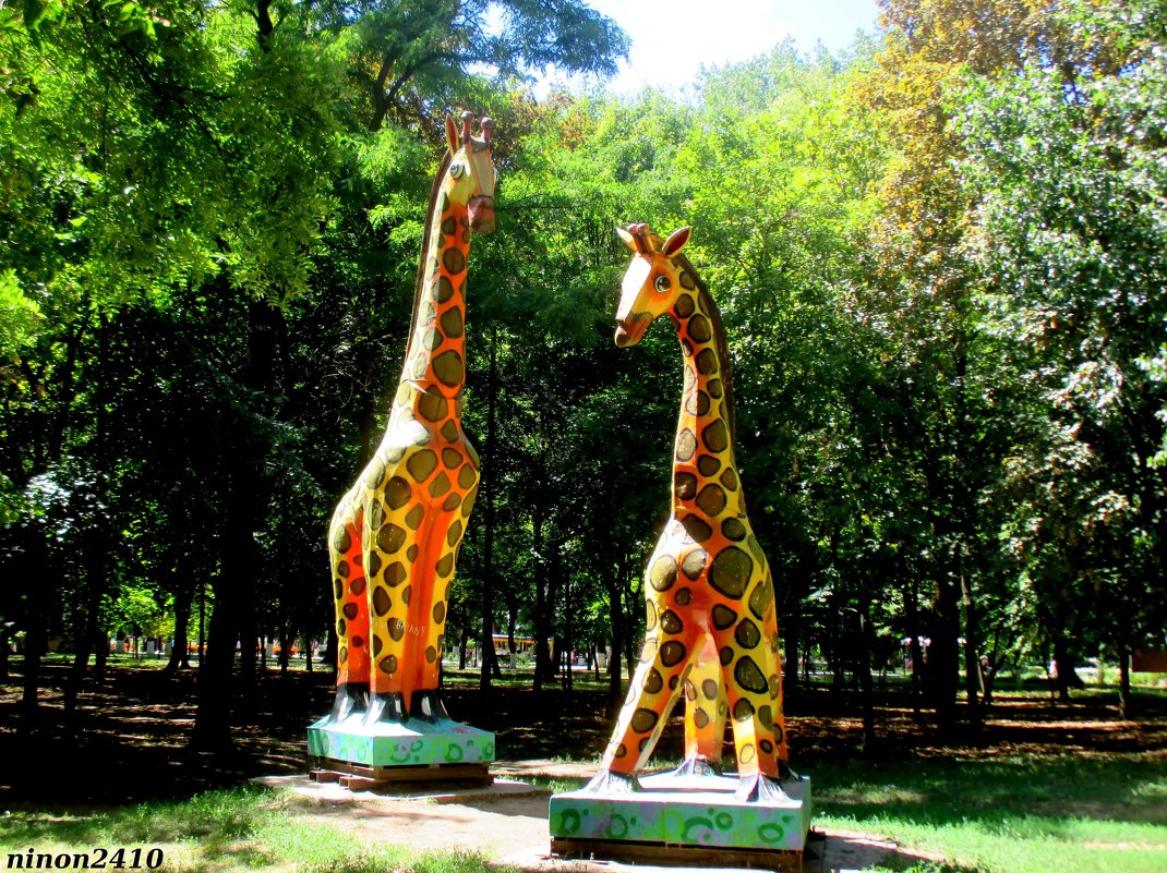 Жирафы на прогулке - Нина Бутко