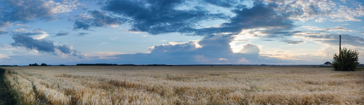 панорама поле и облака - Егор Кандауров