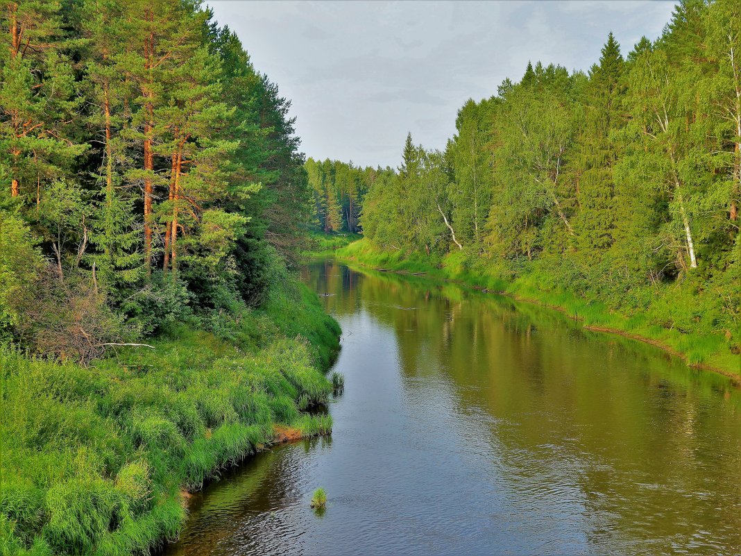 Кабожа река... - Sergey Gordoff