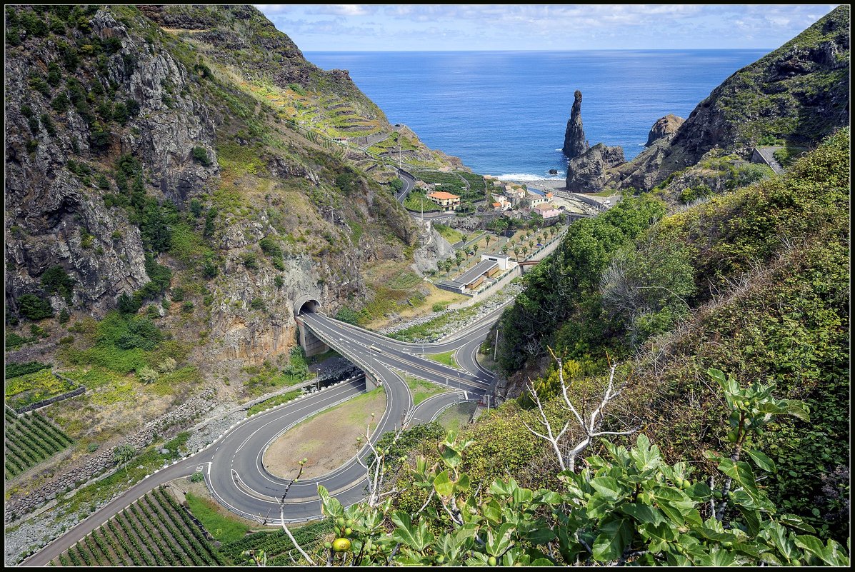 Madeira, collection 2015. - Jossif Braschinsky