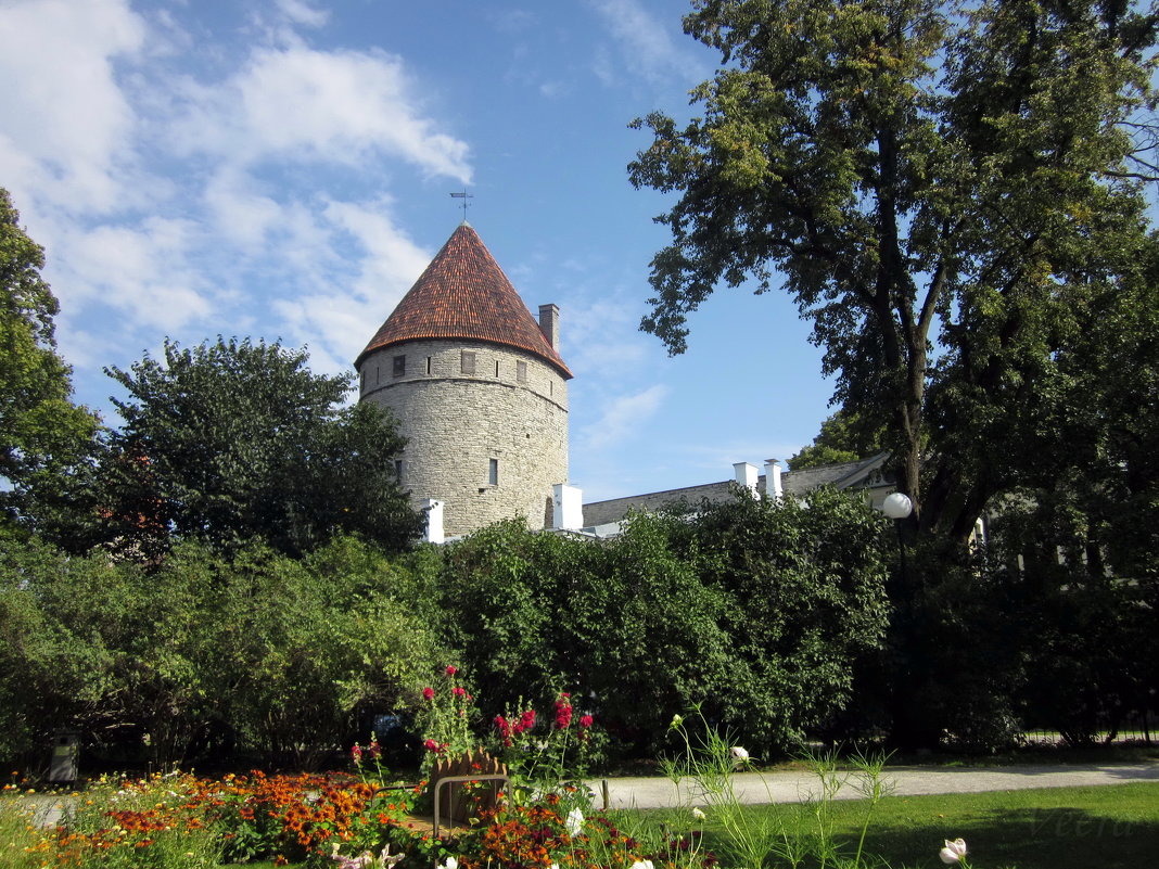 Башня Старого Таллина - veera v