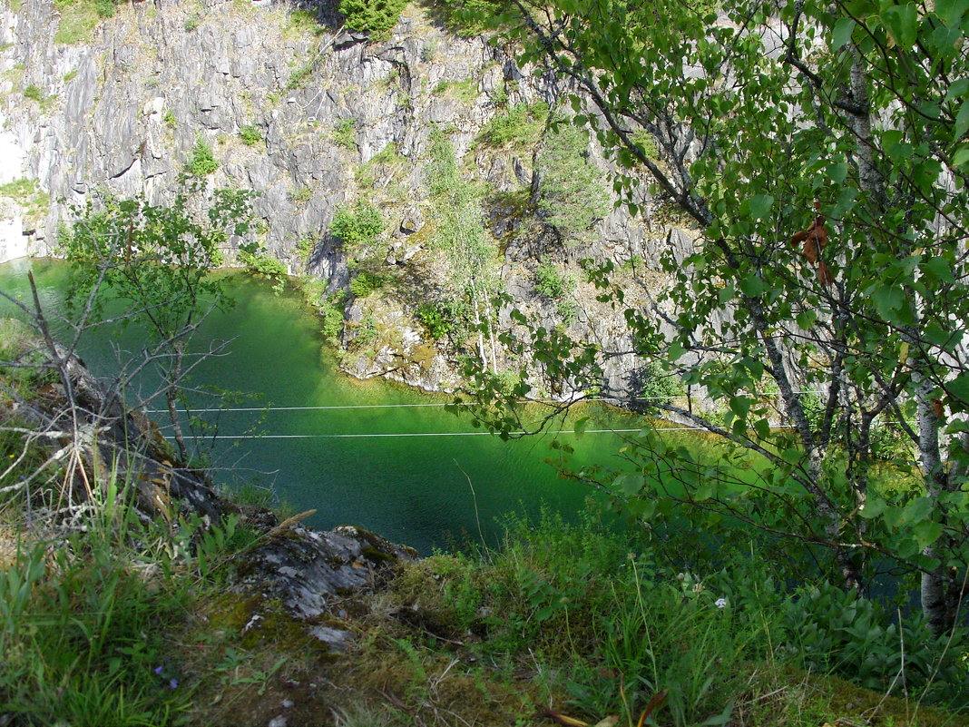 Изумрудная зелень листвы и воды... - Виктор Мухин