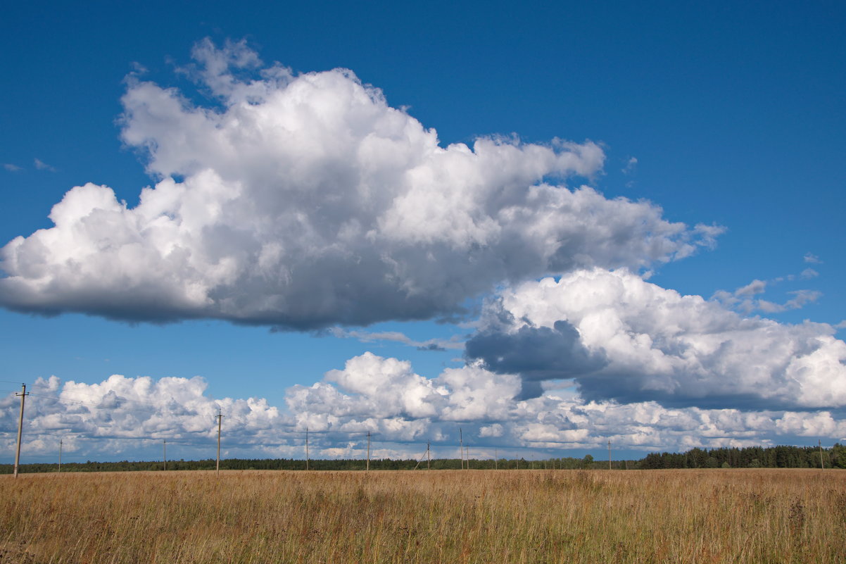 Облака над полем - lady v.ekaterina
