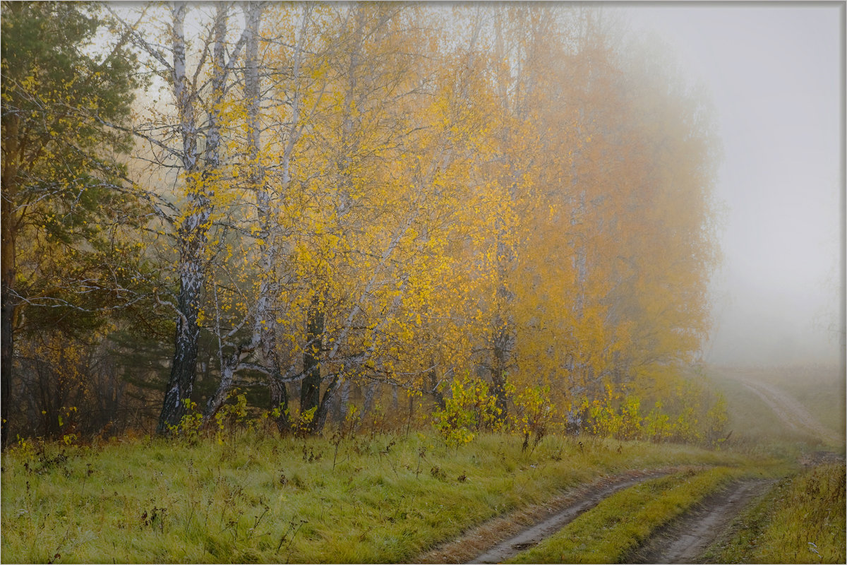 Дорогами сентября - Грег 