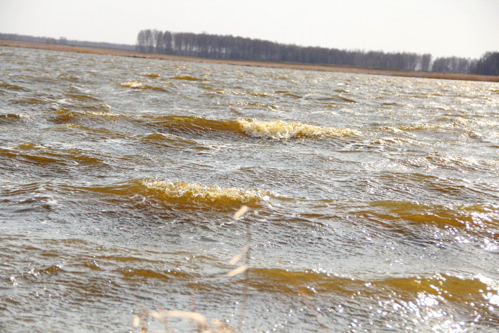 Озеро Рябовское, Алтайский край - сильный ветер, волны - Светлана Рябова-Шатунова