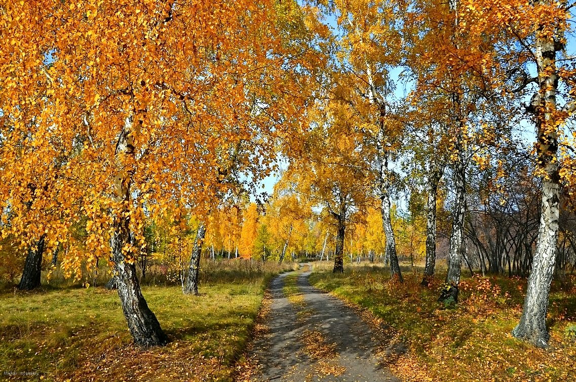 Октябрьскими тропами - Mikhail Irtyshskiy