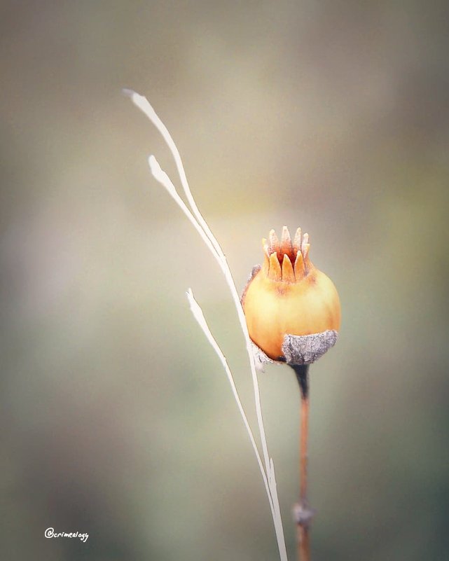 Близость осени... The closeness of autumn... - Сергей Леонтьев