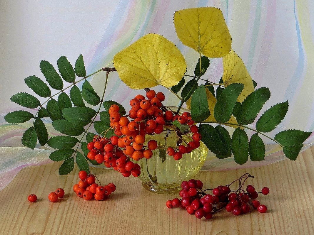 С осенним листом и ягодами - Татьяна Смоляниченко