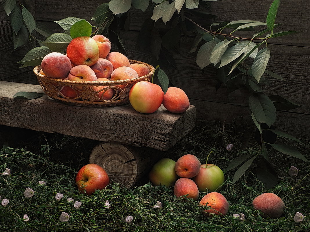 персики, яблоки...Урожай. - Сергей Фунтовой 