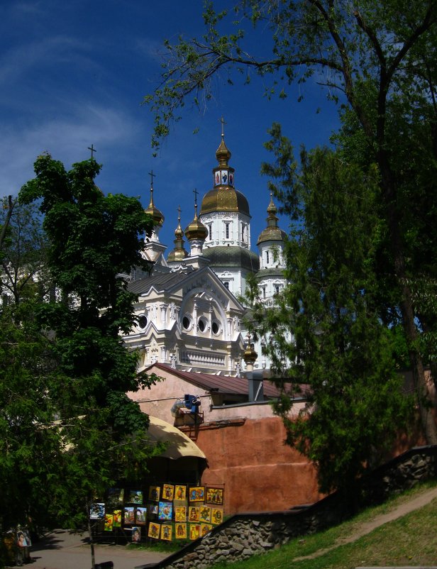 Покровский в раме из ветвей - Ирина 