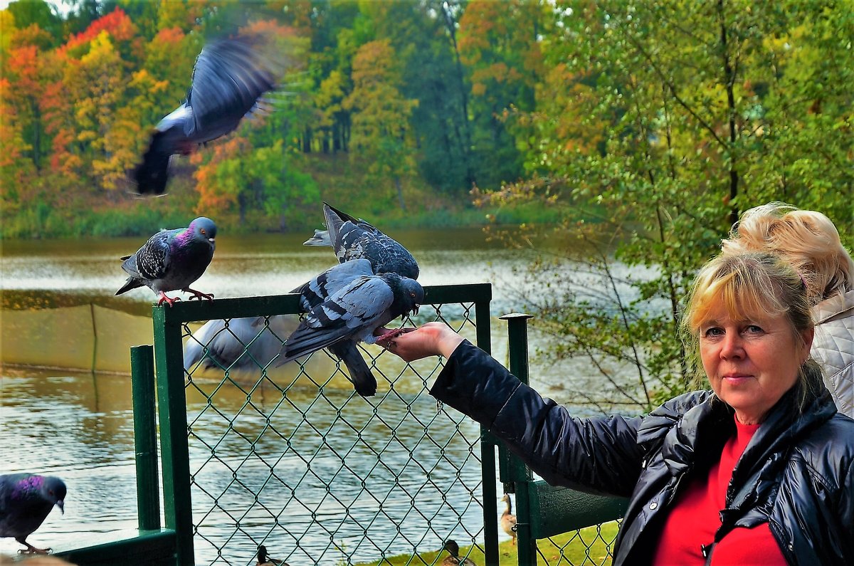 Люба и голуби... - Sergey Gordoff