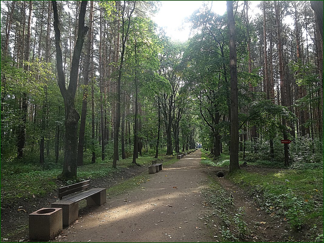 Оздоровительна парковая зона центра В.А.Алмазова - Вера 