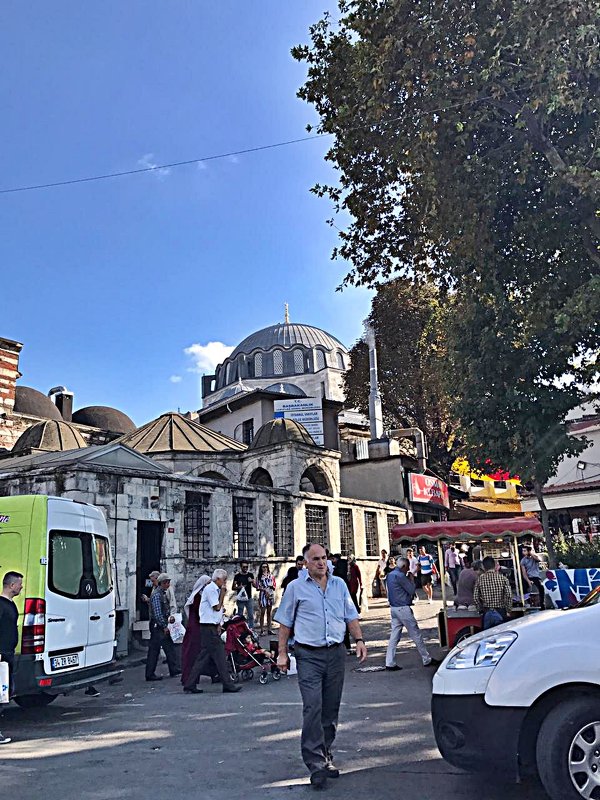 Три  дня  в  Стамбуле ( Люди  в  своих повседневных  заботах) - Виталий Селиванов 