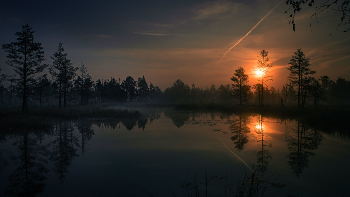 Дуниловский рассвет на болоте - Владимир Сворочаев