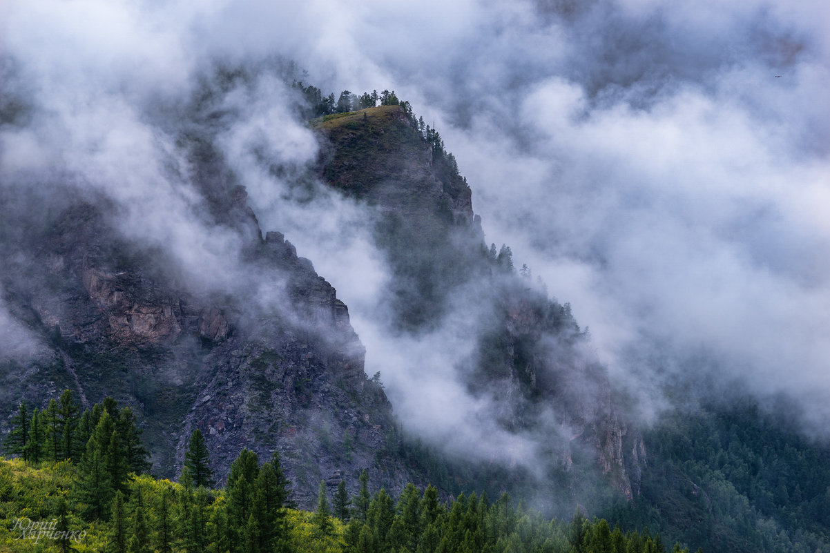 Туман в горах. - Юрий Харченко