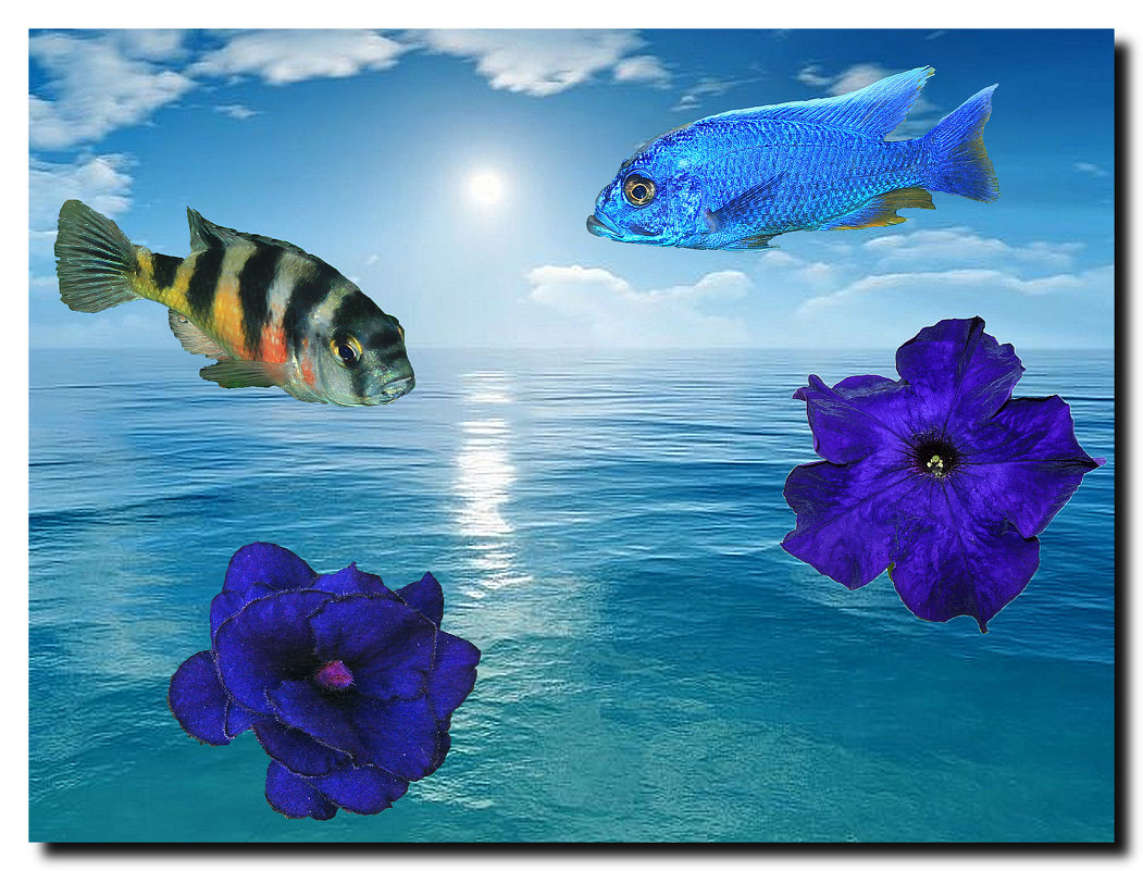 Рыбки,море и цветы. - Олег Петрушин