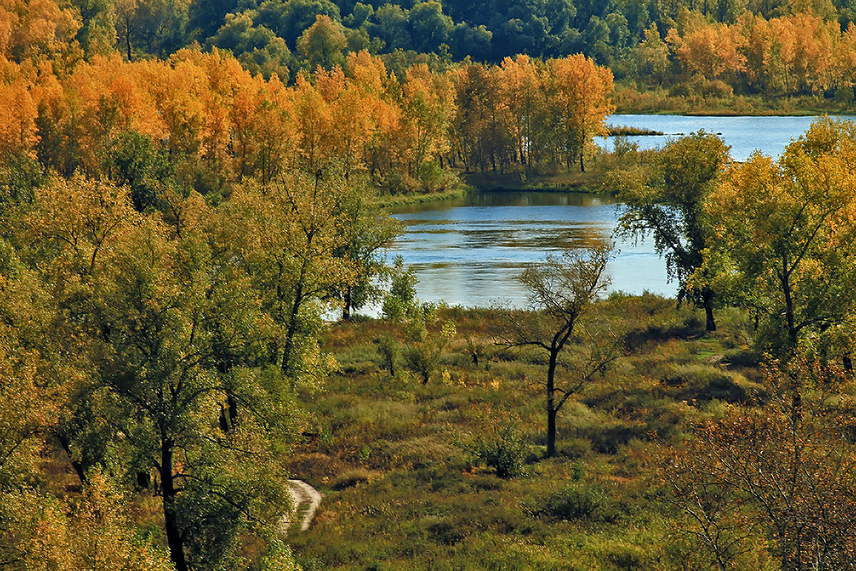 Осень на Енисее - Екатерина Торганская