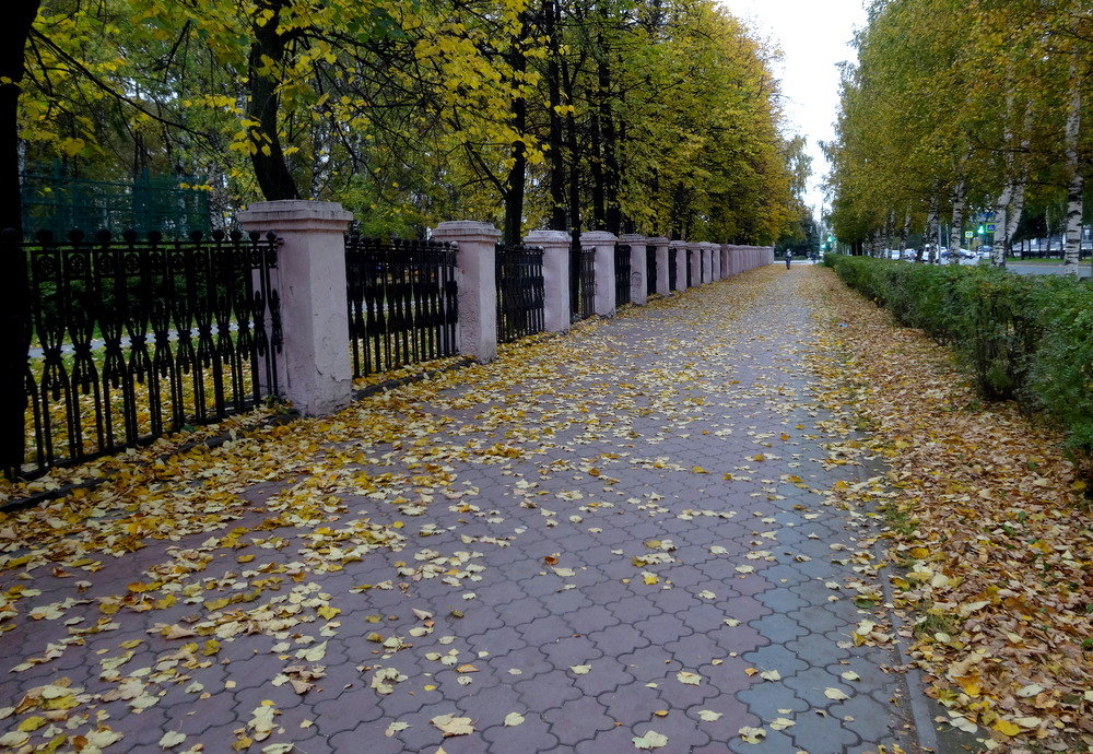 Осень пришла в город. - Елизавета Успенская