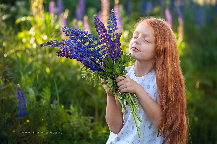 Люпины - Лина Фонарева