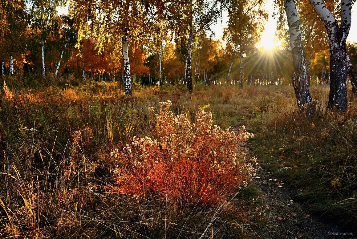 Осеннее утро - Mikhail Irtyshskiy