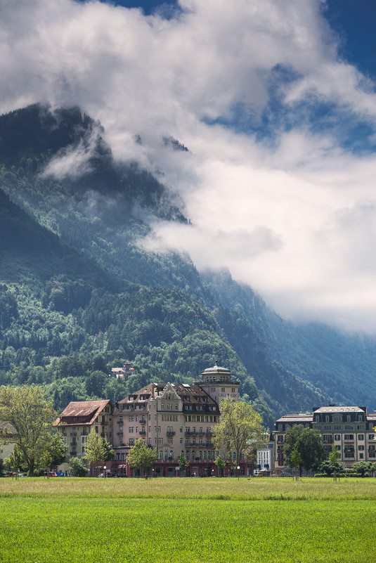 Interlaken - Wattletree -