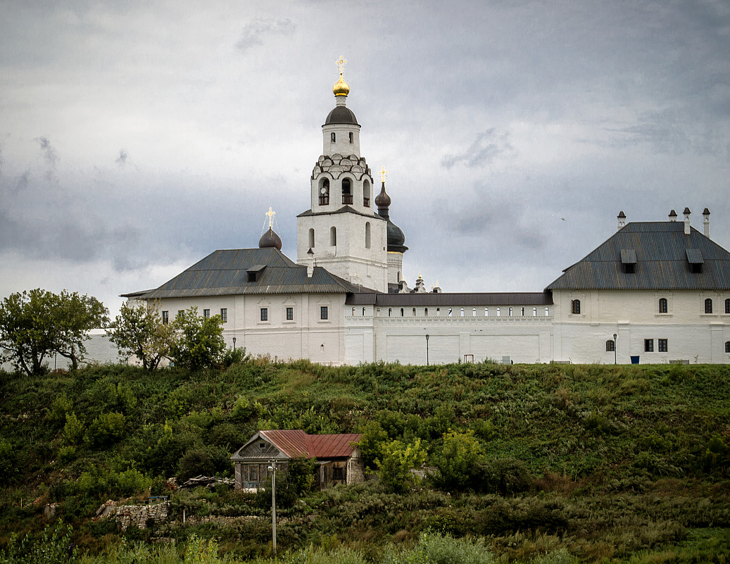 Вид на Успенско-Богородицкий монастырь - Елена Панькина