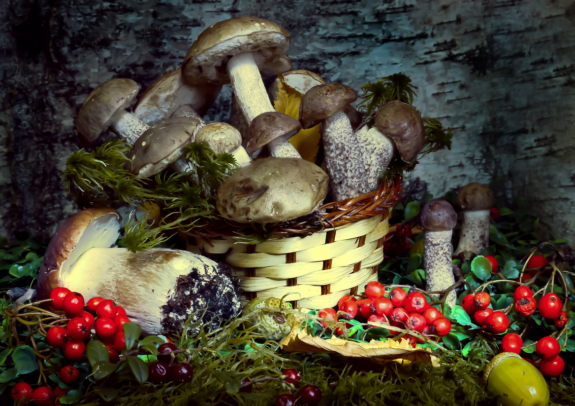 Натюрморт с грибами - Денис Матвеев