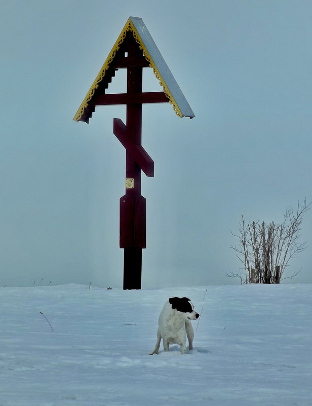 ** - Сергей Кочнев