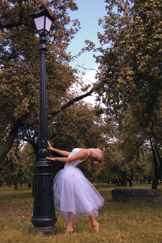 dancer - Veronika Aleksandrova