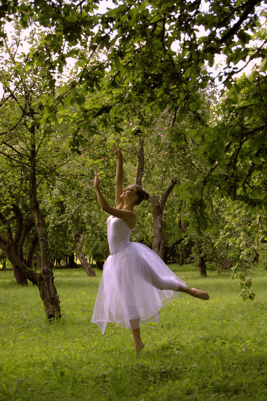 in the garden - Veronika Aleksandrova