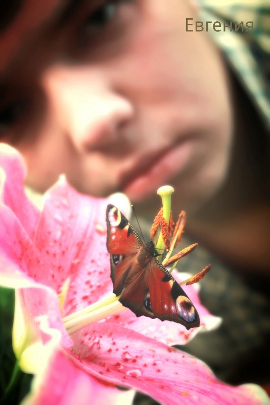 Бабочка на цветке - Евгения Мартынова