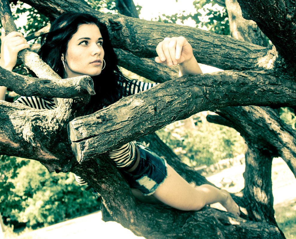 На дереве - Натали N