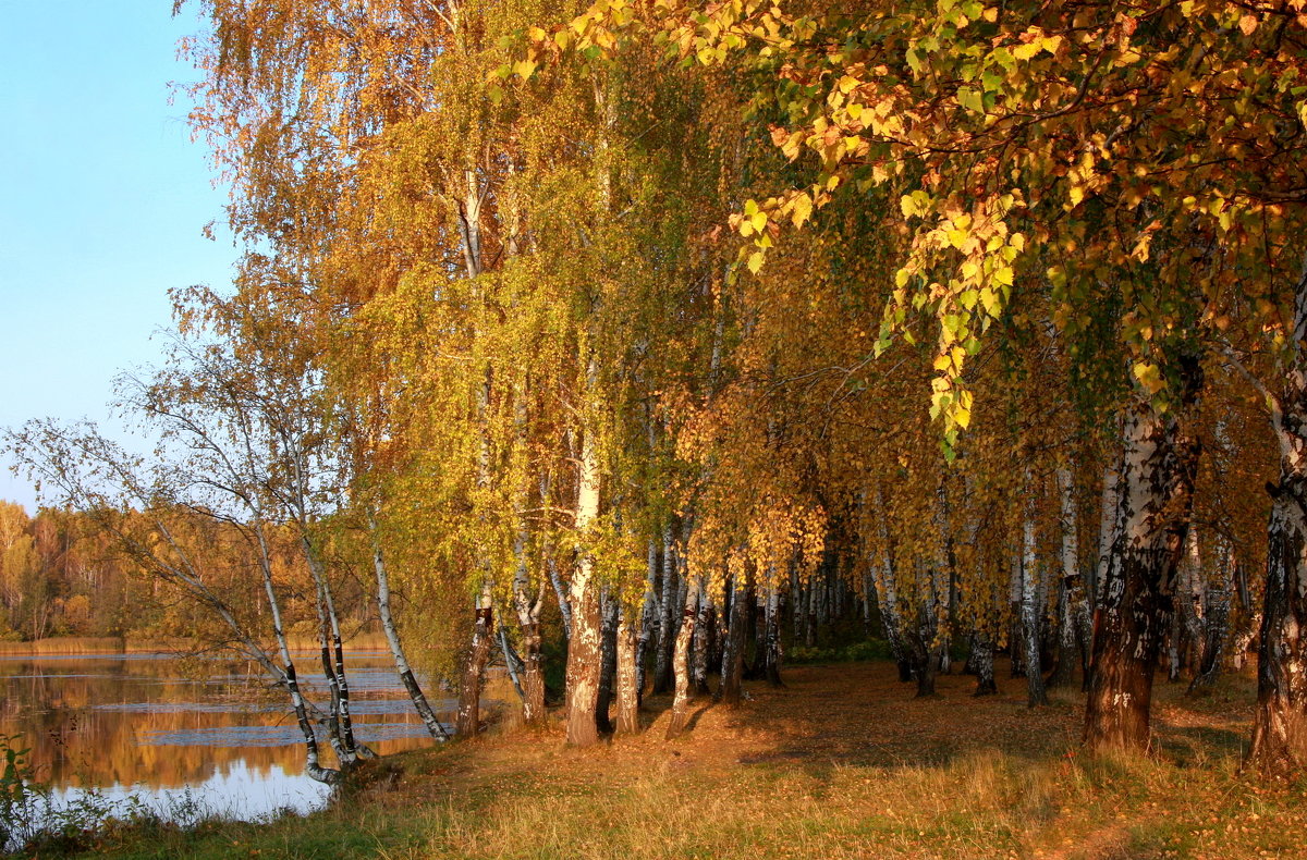 Осенние прогулки в сентябре... - Нэля Лысенко