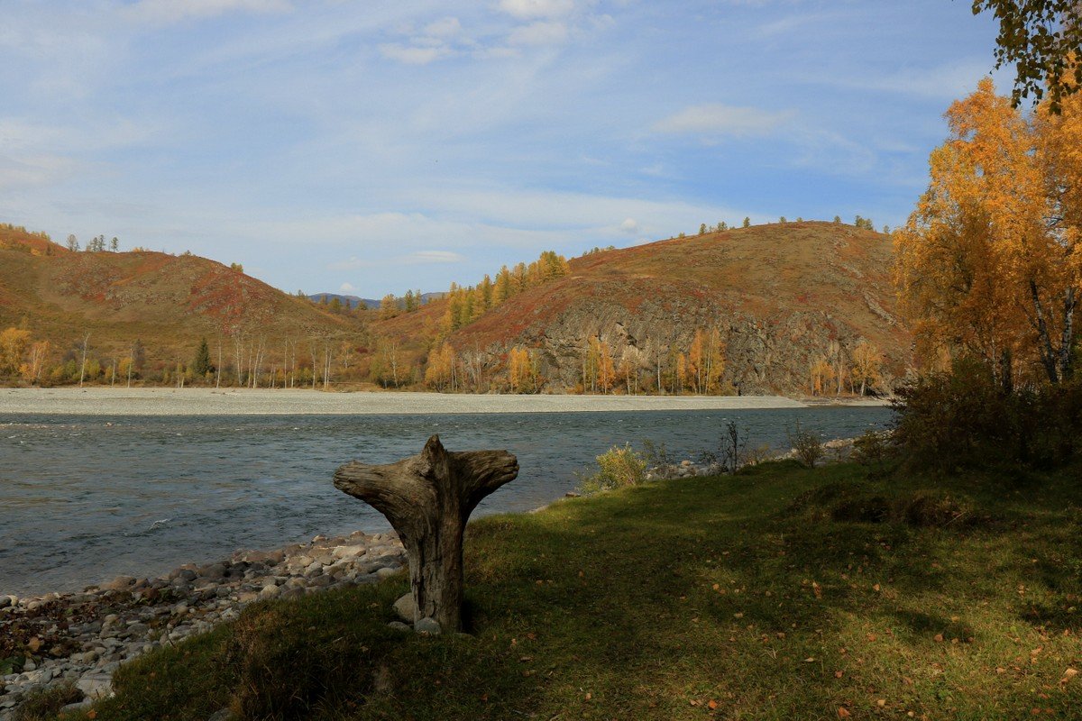 Осень - Галина Козлова 