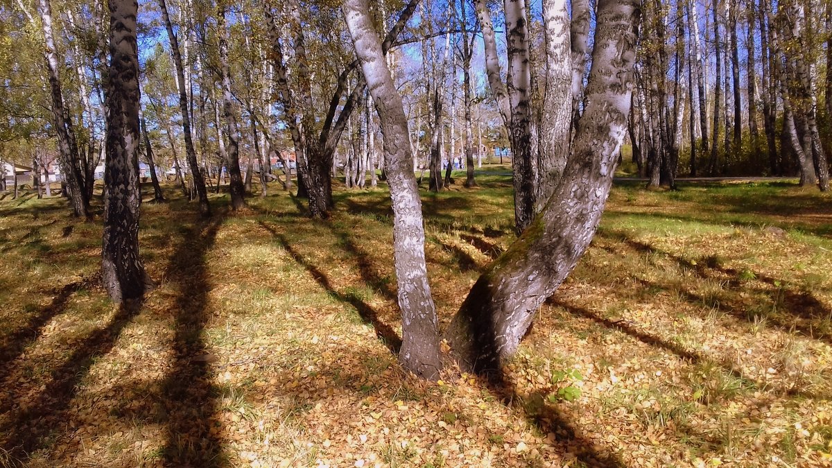 Последний день сентября . - Мила Бовкун