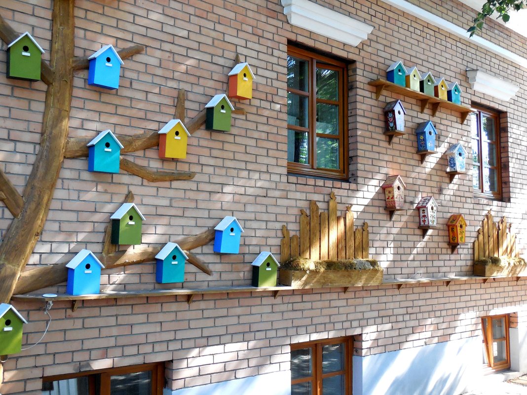 Птичий дом в Костроме - Надежда 
