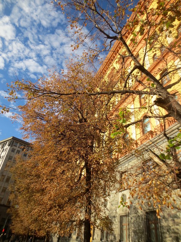 Осенняя Москва - Елена 