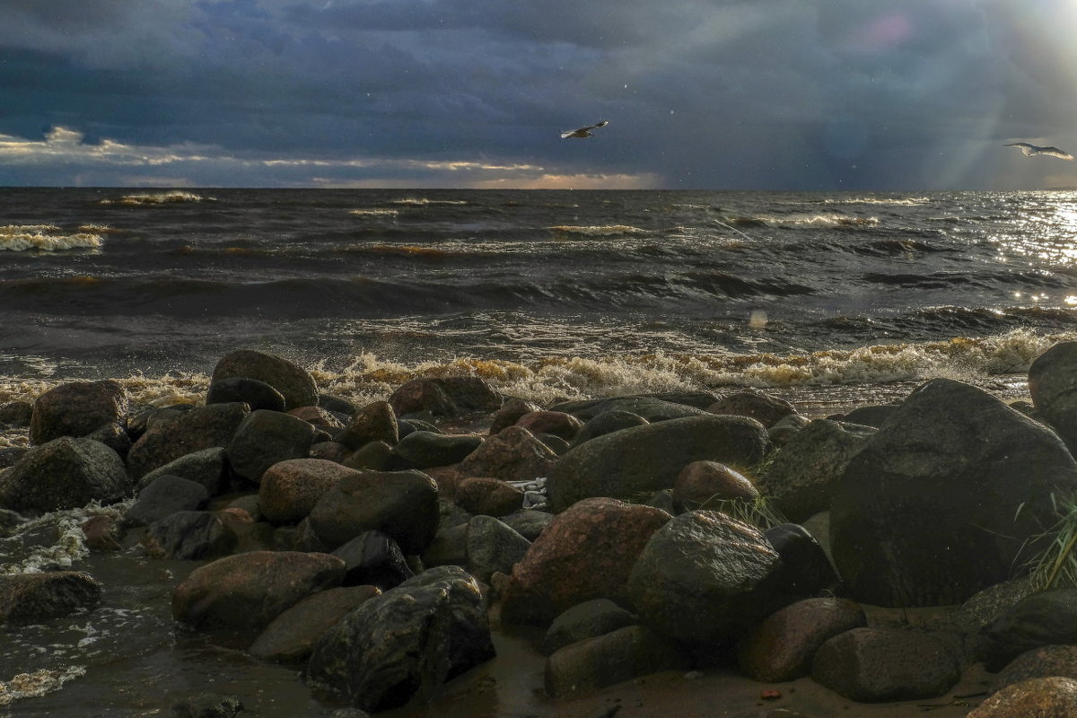 камни на берегу попали на закате - Георгий А