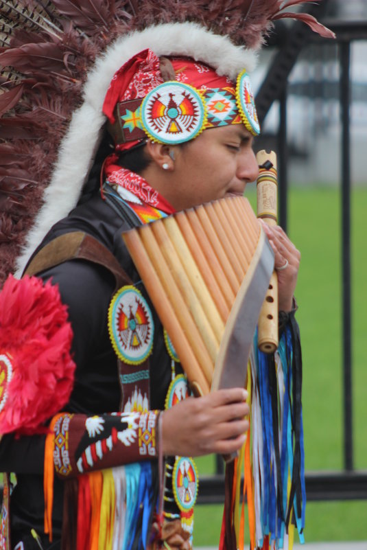 Звучит музыка южно-американский индейцев - Дмитрий Солоненко