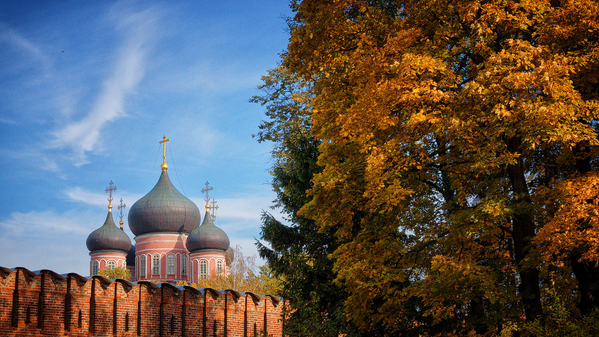 Донской монастырь - Михаил Танин 