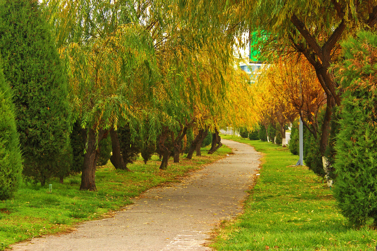 Осень в городе - Светлана 