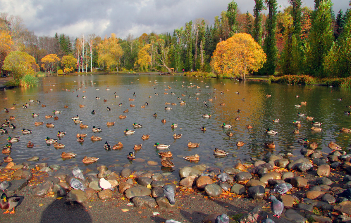 в парке - Александр ***