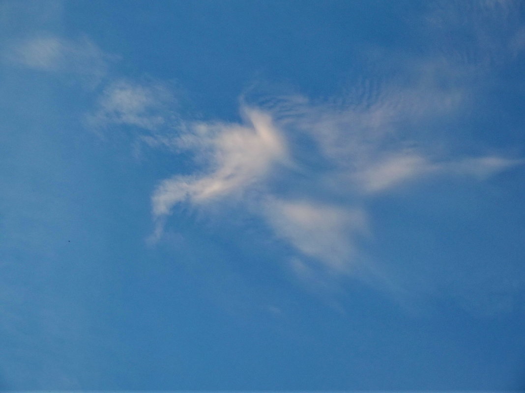 На что похожи облака? 3 - голубь - Светлана Рябова-Шатунова
