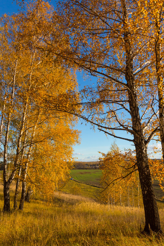 Осенние зарисовки из Нижегородской области - Роман Царев