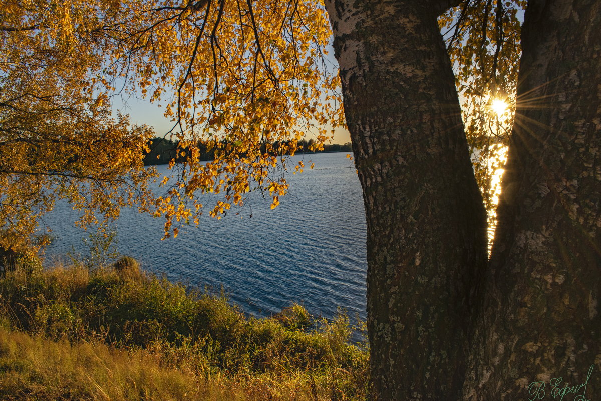 осенний пейзаж у озера - Владимир Ефимов