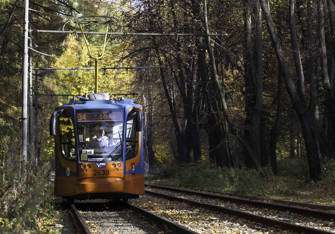 Осенний Трамвай Фото