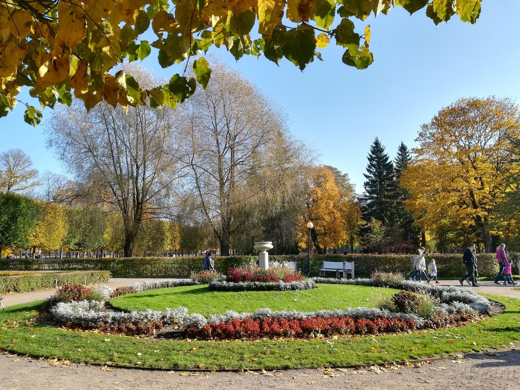 Осень в парке Кадриорг - veera v