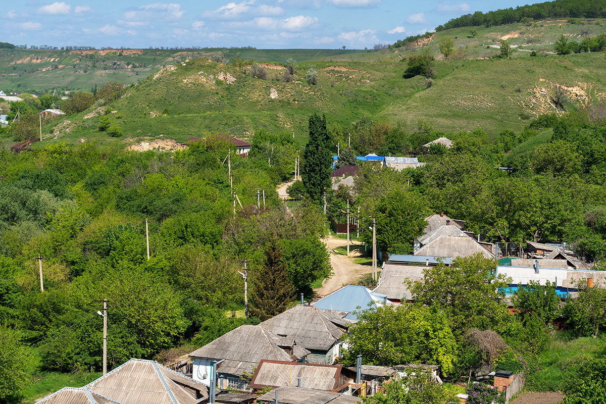 Загородная прогулка - Игорь Сикорский