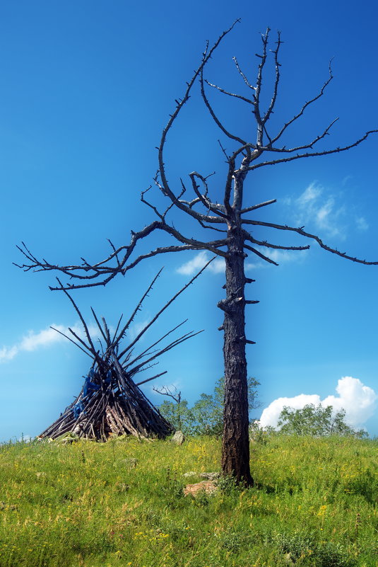 Дерево-отдельно, ветки-отдельно - Андрей Семенов