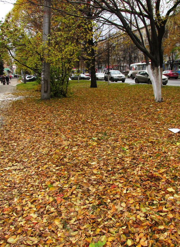 Осень в городе - Galaelina ***